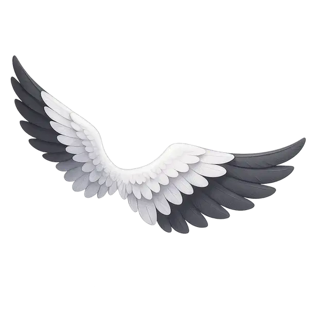 Gull Wings
