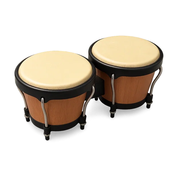 Camper's Bongos