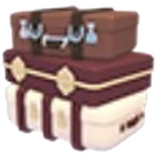 Back Luggage