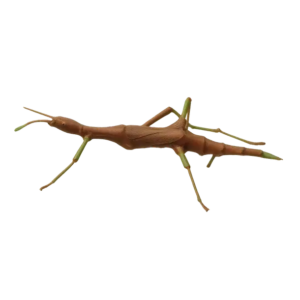 Nature's Crossbow