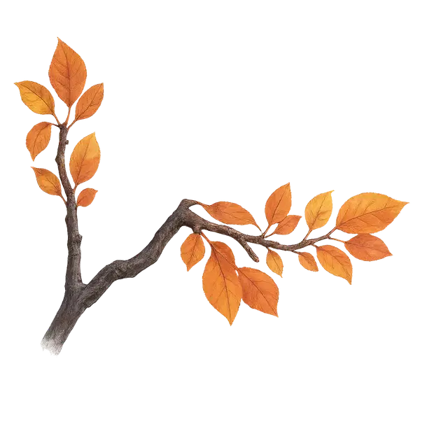 Eco Orange Leaf Wings