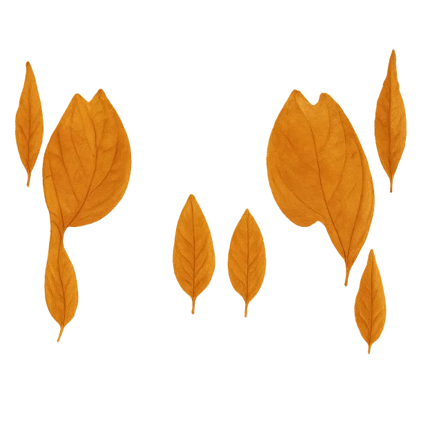 Firey Aura