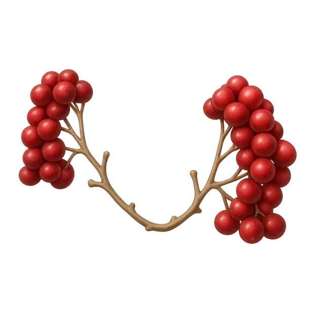 Eco Red Cranberry Branch Wings