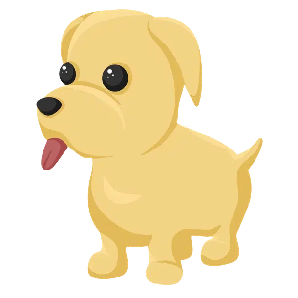 Dog MF