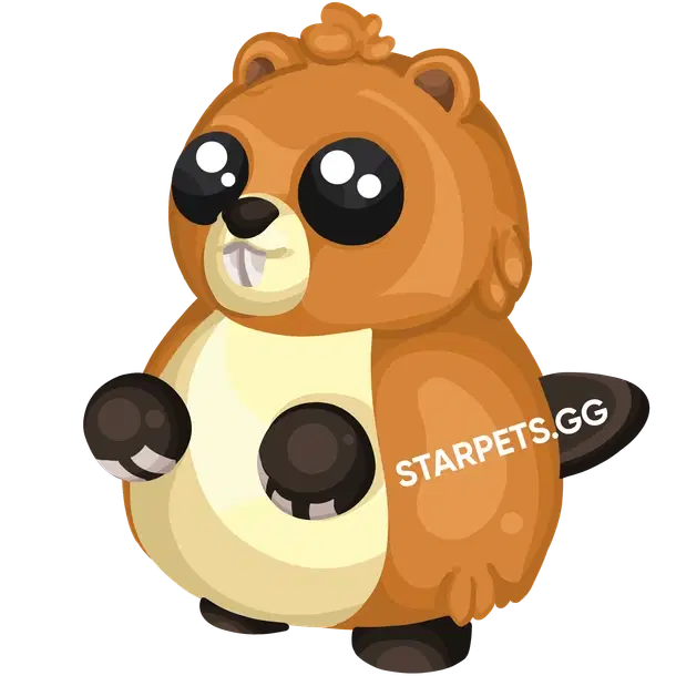 Ranger Beaver MR