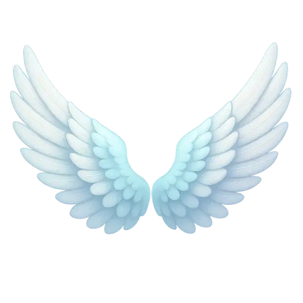 Snow Cloud Wings