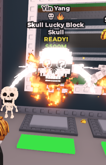 Yin-Yang Skull Lucky Block