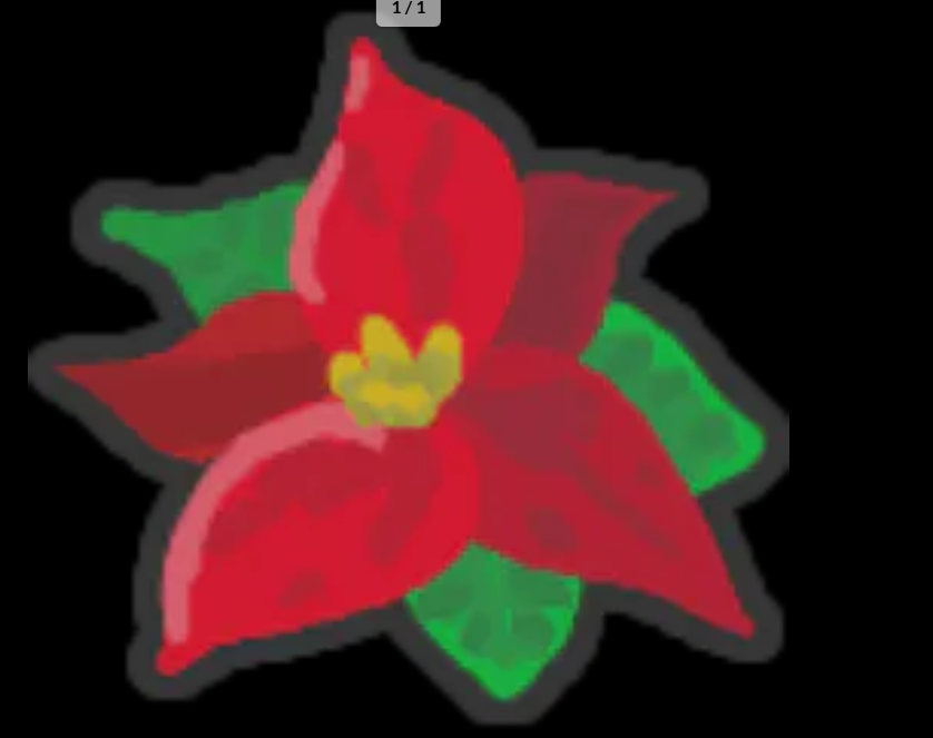 🌸Poinsettia🌸
