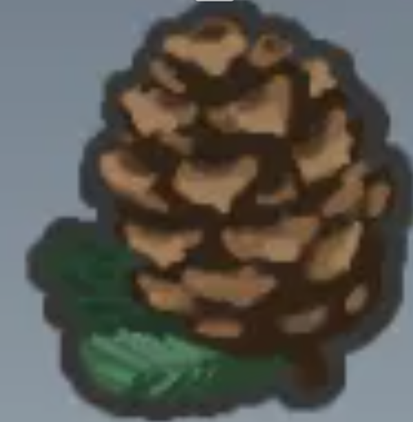🌲Pinecone (%10 Pine Cap + %5 Pine pollen (blue beequiq)🌲