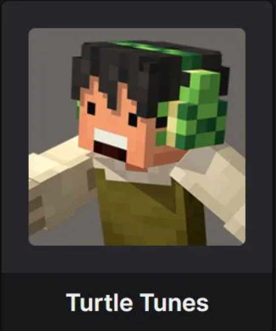 TURTLE TUNES Code 🔑