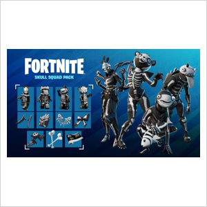 Skull Squad Pack (DLC) | Fortnite Argentina Xbox Key