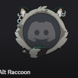 ⭐Alt Raccoon Avatar⭐$4.99