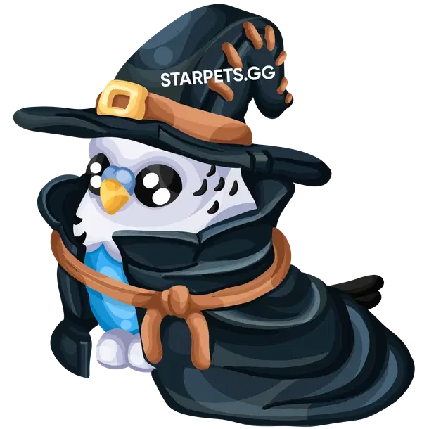 Budgie Witch R