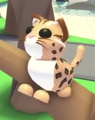 ๐ Leopard Cat Normal ๐
Fast & Secure Delivery