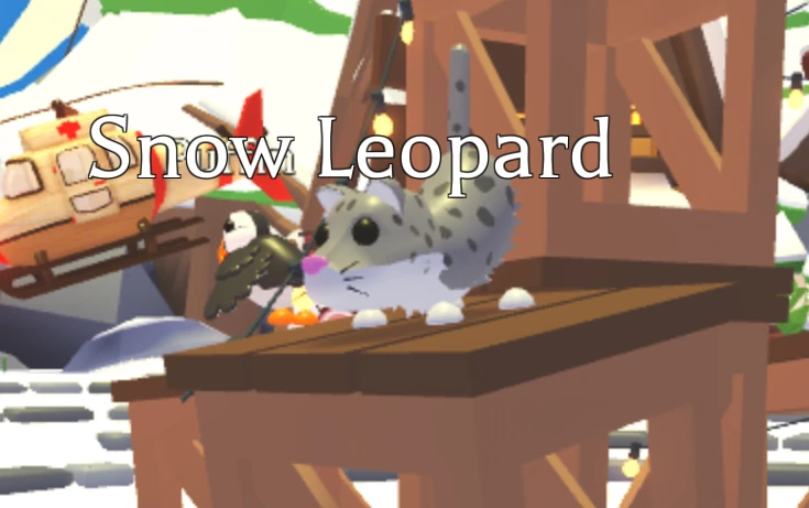 ๐ธ Snow Leopard Normal ๐ฎ Fast & Secure Delivery