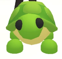 ๐ฅ Turtle R ๐ Fast & Secure Delivery