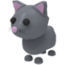๐๏ธ Cat N ๐ฒ Fast & Secure Delivery