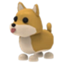 ๐ Shiba Inu NR ๐๏ธ Fast & Secure Delivery