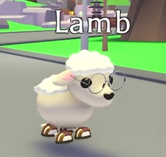 ๐ท Lamb FR โ ๏ธ Fast & Secure Delivery