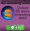 Arise Crossover - 25 Inventory Slot x10