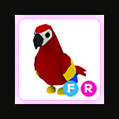 Parrot FR | Adopt Me | Fast Delivery