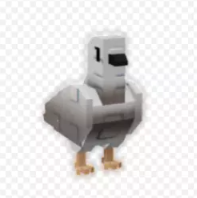 Turtle Dove