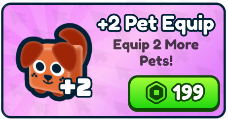 Rebirth Champions: Ultimate > +2 Pet Equip [199R]
