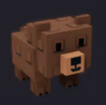 Grizzly Bear