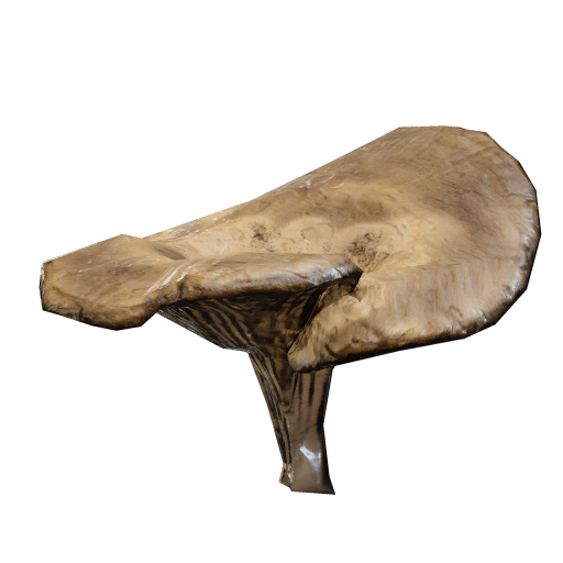 Mushroom | Fast Delivery
