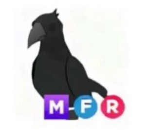 Crow MFR | Adopt Me | Fast Delivery