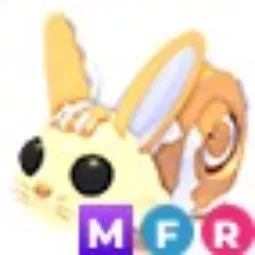BUNNY SWIRL MFR | REAL STOCK