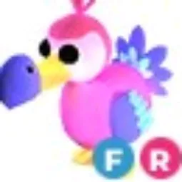 DODO FR