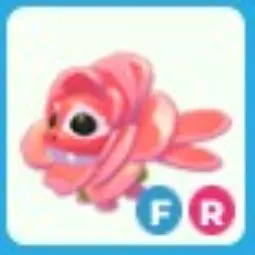 ROSE DRAGON FR