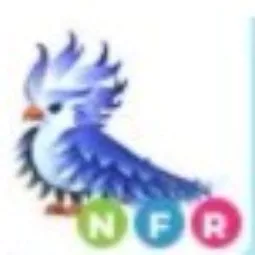 FROST PHOENIX NFR| REAL STOCK