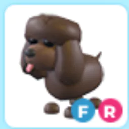 IRISH WATER SPANIEL FR | REAL STOCK