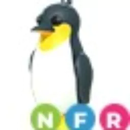 KING PENGUIN NFR | REAL STOCK