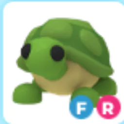 Turtle FR