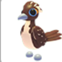 RoadRunner