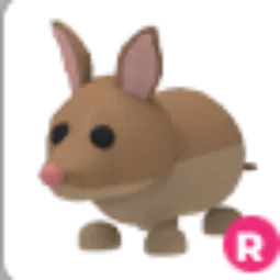 Bandicoot Ride