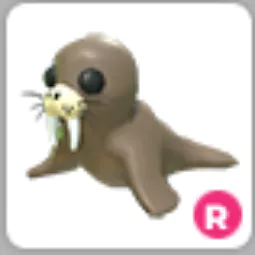 Walrus Ride