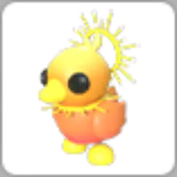 Sunrise Duckling