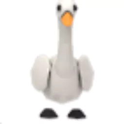 Swan adopt me