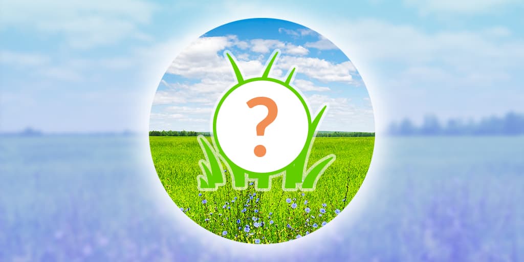 💓 SPOTLIGHT HOUR PLAY : 1 HOUR FARMING + 700 -1200 CATCHES + CANDY + XP + DUST + BAG ITEMS ❤️🔥 TRAINER CLUB LOGINS 💝 CHECK DESCRIPTION