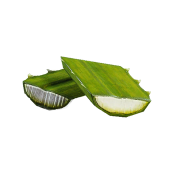 Agave | Fast Delivery