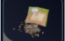 1000x Assorted Seeds