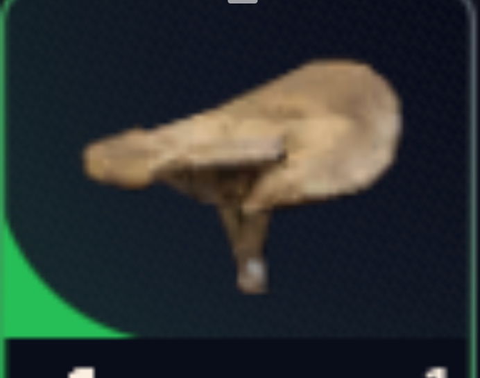 *2 Mushroom