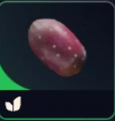 x6 Prickly Pear
