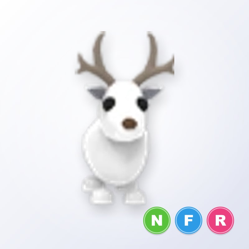 Arctic Reindeer NFR