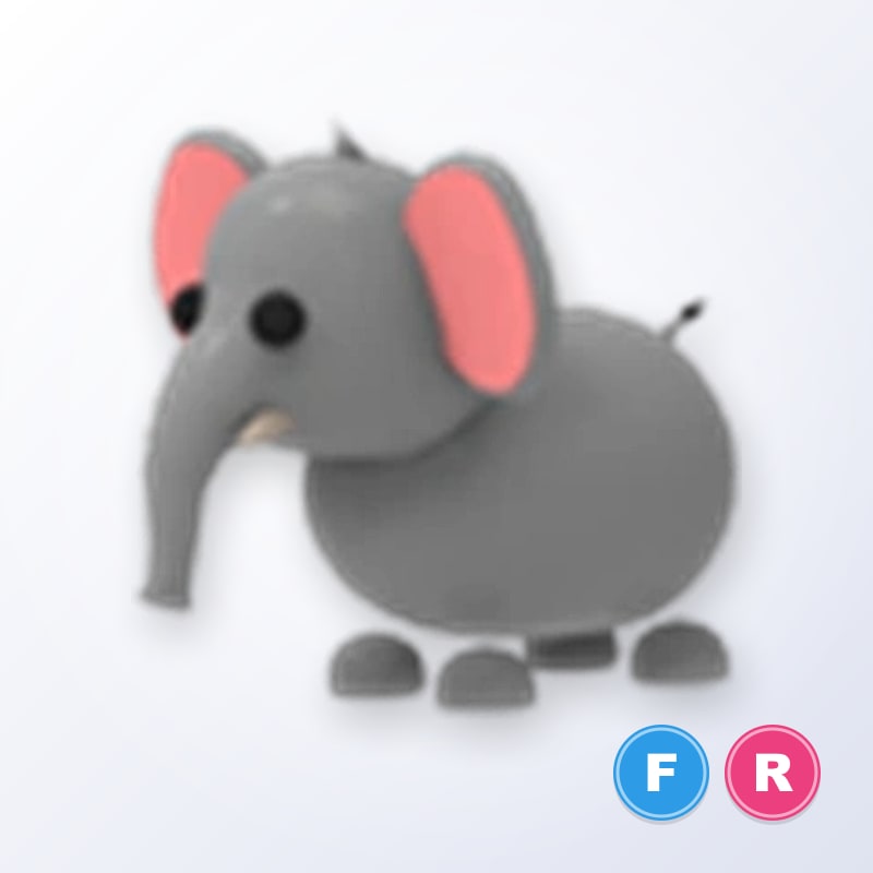 Elephant FR