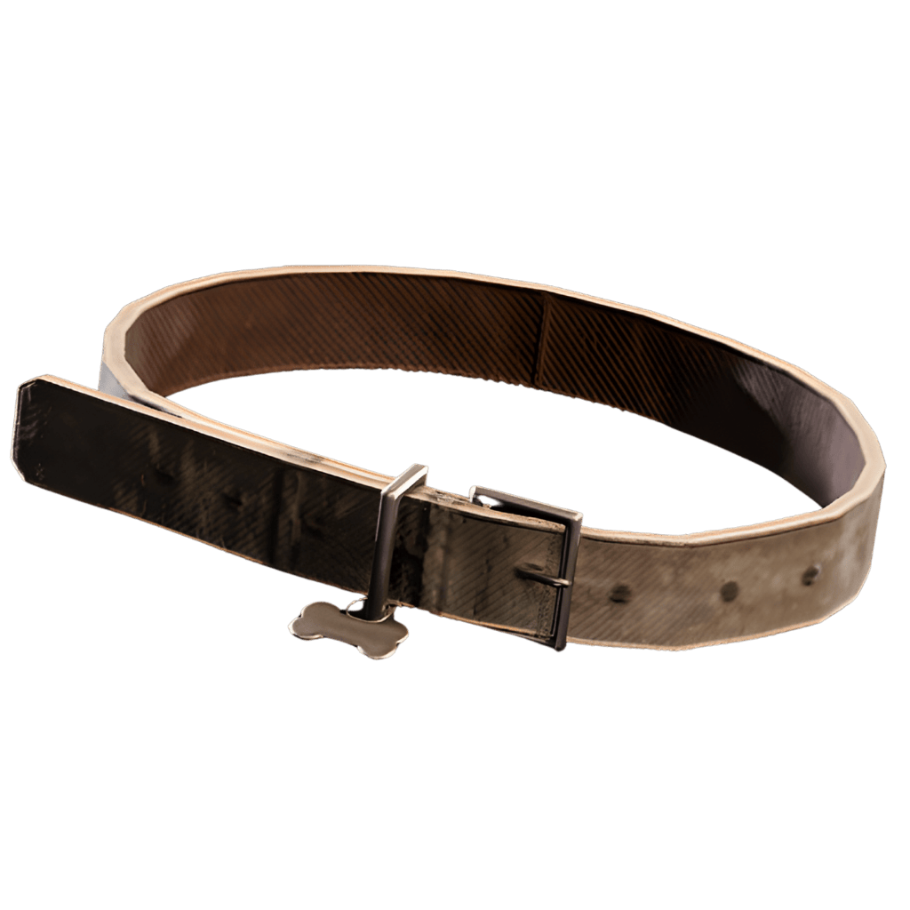 Dog collar